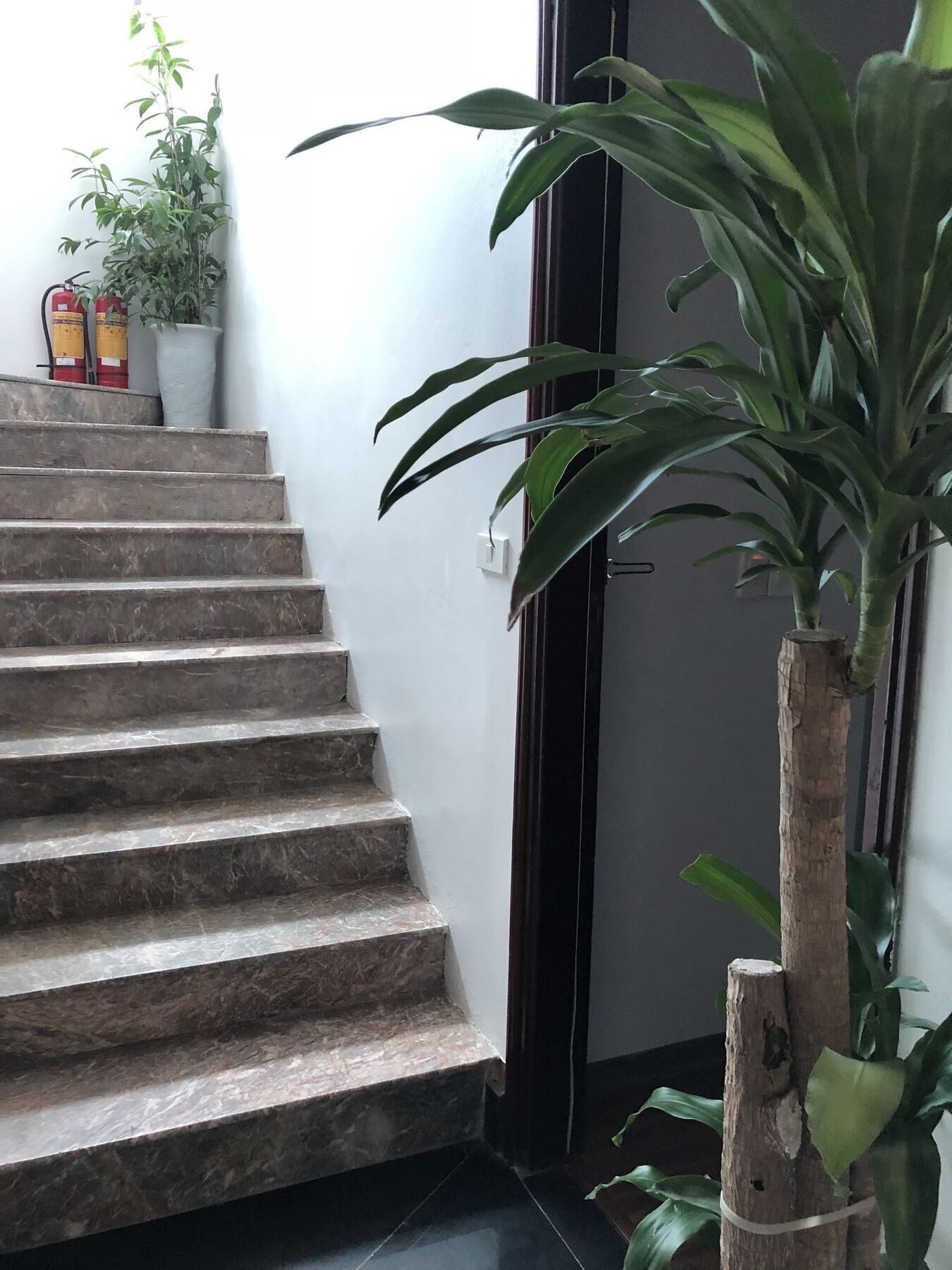 Halong Good Morning Hotel ハロン エクステリア 写真